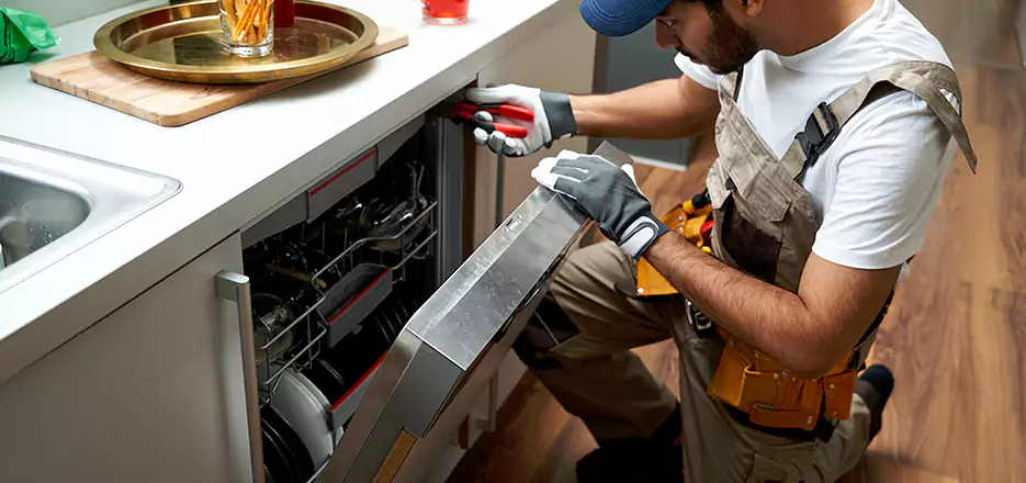 Same Day Dishwasher Not Draining Repair in Sayreville