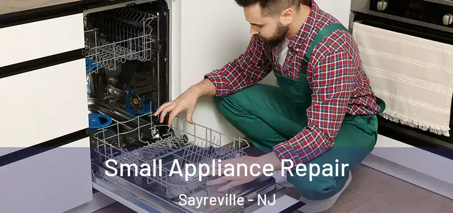  Small Appliance Repair Sayreville - NJ